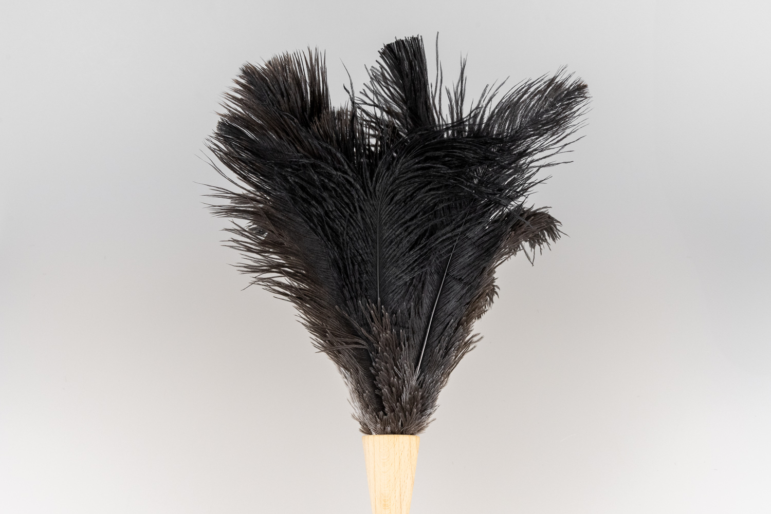 Straußenwedel medium